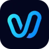 Vidu Logo